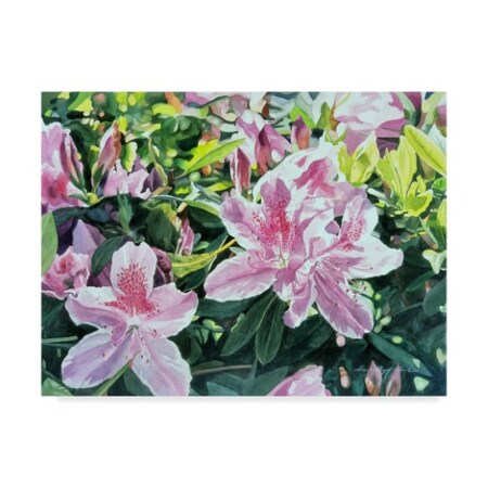 Trademark Fine Art David Lloyd Glover 'Azalea Carmelo' Canvas Art, 24x32 DLG00389-C2432GG